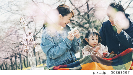 桜 春 親子 お花見 桜 春 親子 お花見 50863597