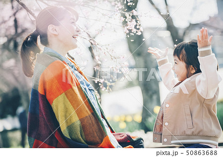 桜　春　親子 50863688