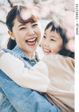 桜　春　親子 50863744