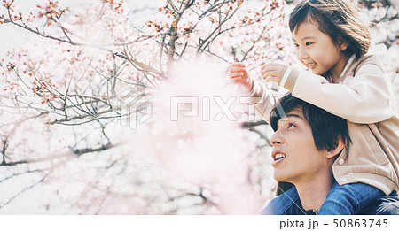 桜　春　親子 50863745