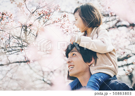 桜　春　親子 50863803