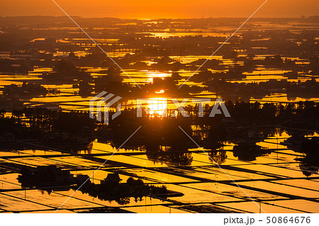 《富山県》富山の絶景・広大な水田に映る夕景 50864676