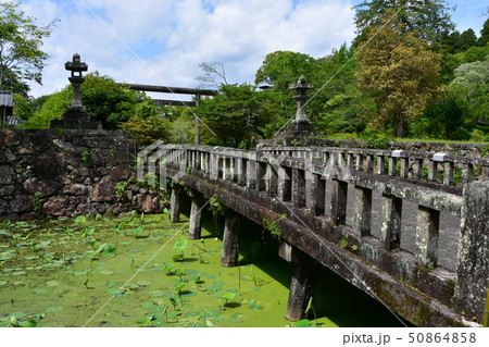 人吉城址　相良護国神社 50864858