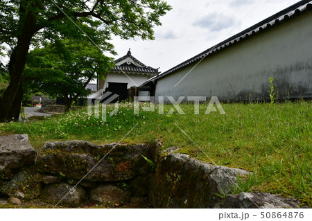 人吉城址　相良護国神社 50864876