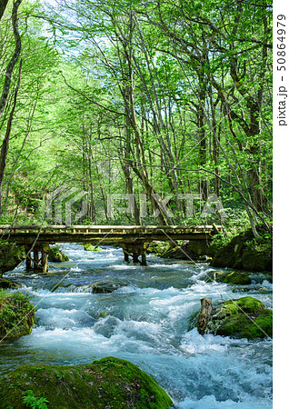 奥入瀬渓流 遊歩道 奥入瀬渓流 遊歩道 50864979