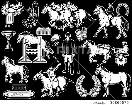 Equestrian club, jockey polo horse riding items 50866670