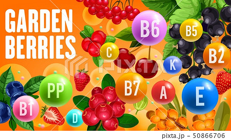 Healthy vitamins in organic garden berry fruits 50866706