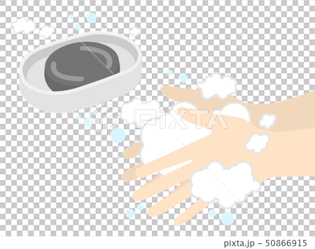 手洗い 手洗い 50866915