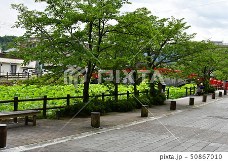 青井阿蘇神社　茅葺屋根の国宝 50867010