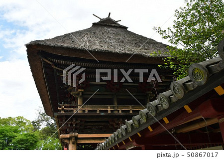 青井阿蘇神社　茅葺屋根の国宝 50867017