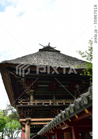 青井阿蘇神社 茅葺屋根の国宝 青井阿蘇神社 茅葺屋根の国宝 50867018