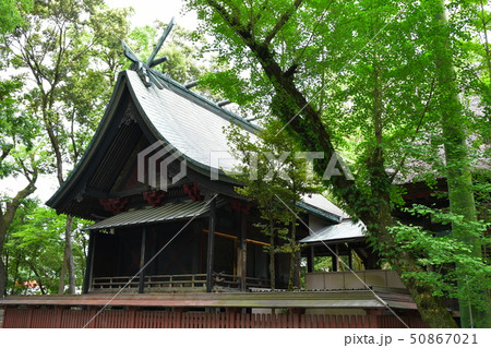 青井阿蘇神社　茅葺屋根の国宝 50867021