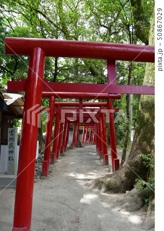 青井阿蘇神社　茅葺屋根の国宝 50867029