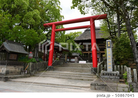 青井阿蘇神社 茅葺屋根の国宝 青井阿蘇神社 茅葺屋根の国宝 50867045