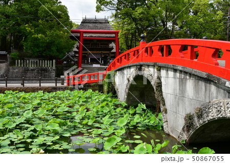 青井阿蘇神社 茅葺屋根の国宝 青井阿蘇神社 茅葺屋根の国宝 50867055