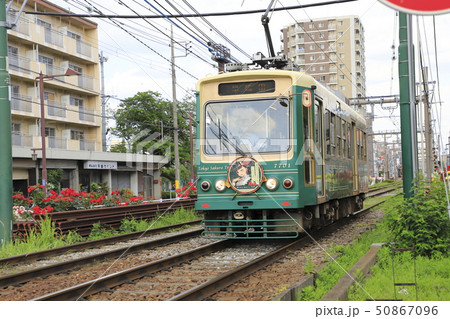 都電荒川線 荒川車庫前付近にて 都電荒川線 荒川車庫前付近にて 50867096