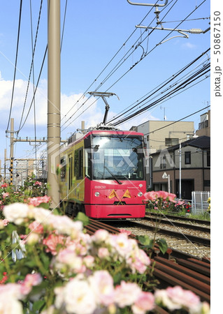 都電荒川線 荒川車庫前付近にて 50867150