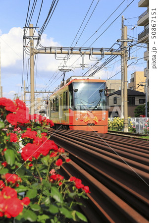 都電荒川線 荒川車庫前付近にて 都電荒川線 荒川車庫前付近にて 50867151