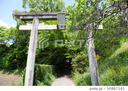 夜都伎神社　鳥居 50867181