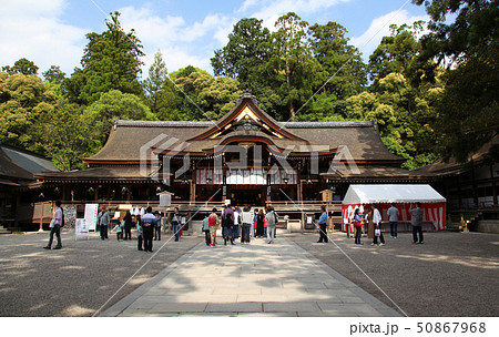 大神神社 おおみわじんじゃ 拝殿 大神神社 おおみわじんじゃ 拝殿 50867968