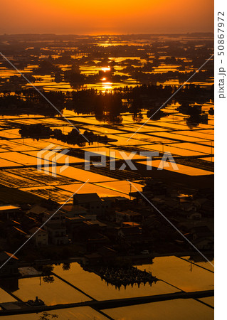 《富山県》富山の絶景・広大な水田に映る夕景 50867972