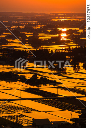 《富山県》富山の絶景・広大な水田に映る夕景 《富山県》富山の絶景・広大な水田に映る夕景 50867978