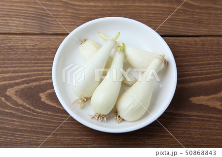 お皿にのせた生らっきょう 木のテーブル お皿にのせた生らっきょう 木のテーブル 50868843