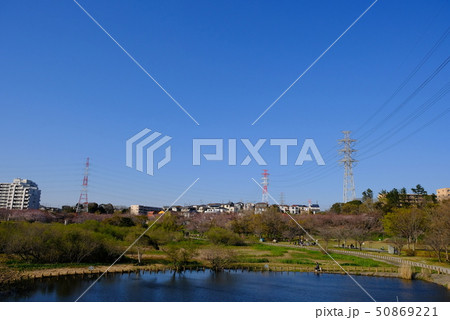 千葉県船橋 長津川親水公園 お散歩2 千葉県船橋 長津川親水公園 お散歩2 50869221