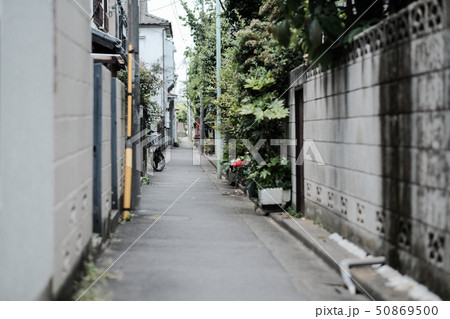 住宅密集地(東京) 住宅密集地(東京) 50869500