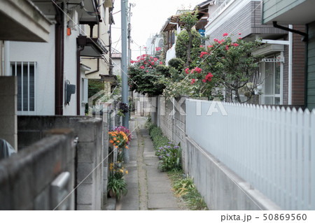 住宅密集地(東京) 住宅密集地(東京) 50869560