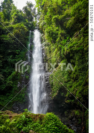 Melanting Waterfall, Munduk, Bali, Indonesia 50870101