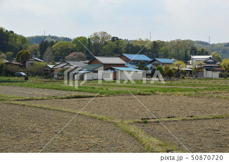 東京の里 高月 東京の里 高月 50870720