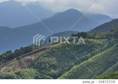 景色 風景 台湾 50872559