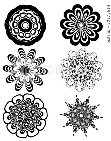 Simple Black and White Flowers 50875614