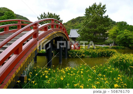 初夏の金沢称名寺史跡風景 50876170