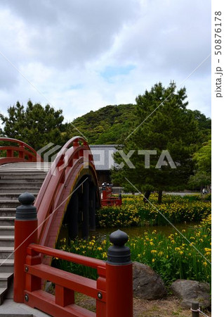 初夏の金沢称名寺史跡風景 初夏の金沢称名寺史跡風景 50876178