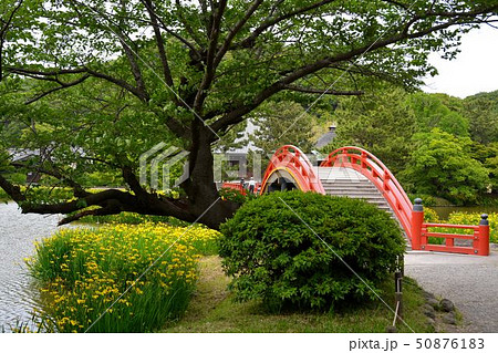 初夏の金沢称名寺史跡風景 初夏の金沢称名寺史跡風景 50876183