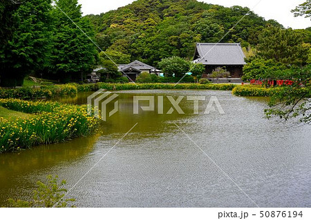 初夏の金沢称名寺史跡風景 初夏の金沢称名寺史跡風景 50876194