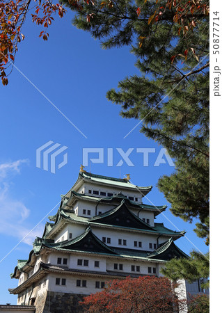 晩秋の名古屋城 晩秋の名古屋城 50877714