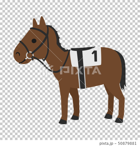 競馬のイラスト。馬具を付けて走る準備をしている馬。 50879881