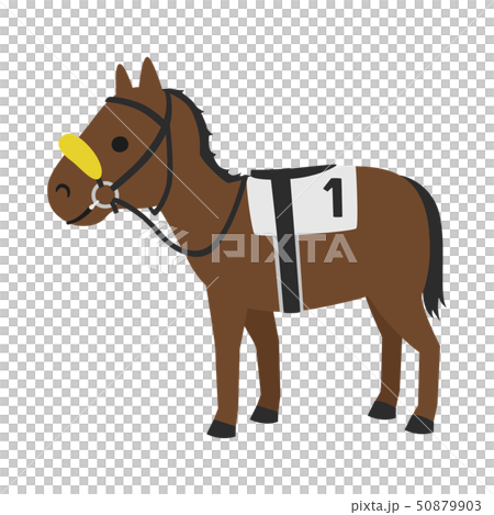 競馬のイラスト。影などに驚かないよう下方を見えにくくして前方に意識を集中させるシャドーロールという馬 50879903
