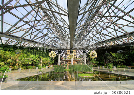Yeomiji Botanical Garden 50886621