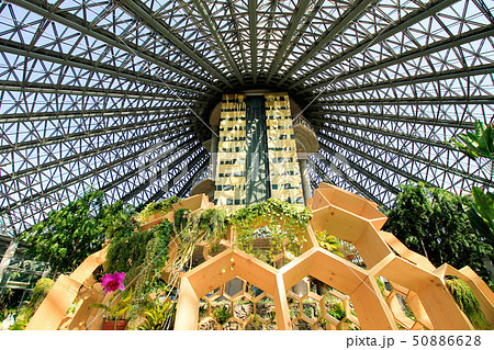 Yeomiji Botanical Garden 50886628