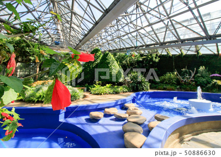 Yeomiji Botanical Garden 50886630