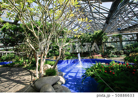 Yeomiji Botanical Garden 50886633
