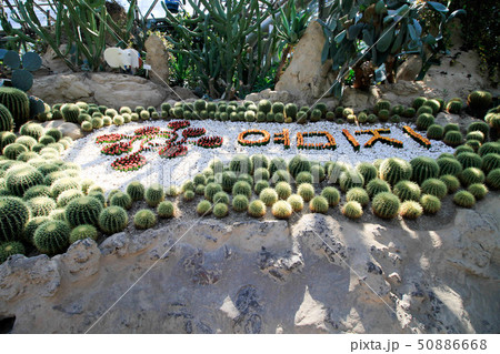 Yeomiji Botanical Garden 50886668