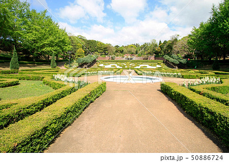 Yeomiji Botanical Garden 50886724