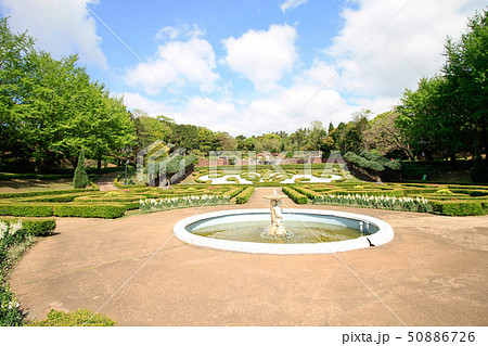 Yeomiji Botanical Garden 50886726