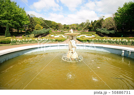 Yeomiji Botanical Garden 50886731