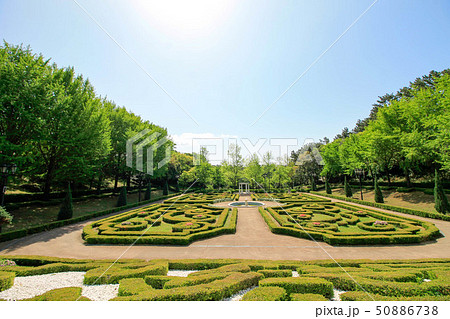 Yeomiji Botanical Garden 50886738